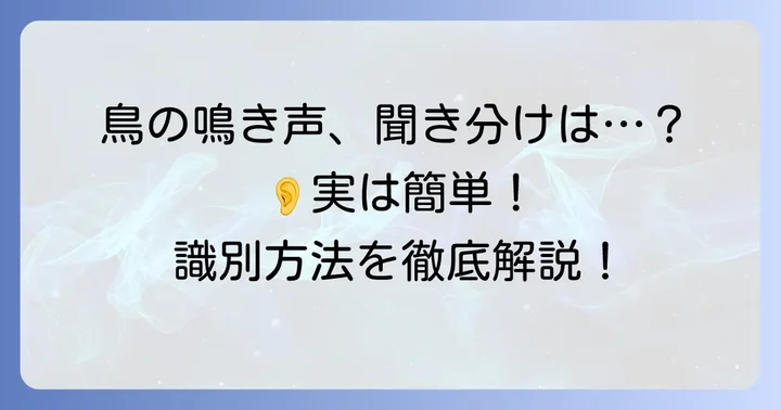 鳴き声だけで鳥を特定するための具体的な方法