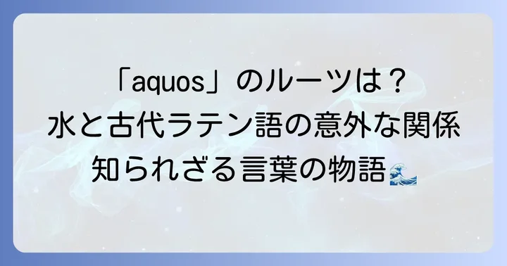 「aquos」の語源とラテン語「aqua」との深い関係