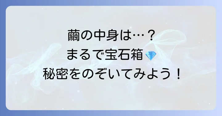 蚕の繭の中身は一体何？その正体と役割