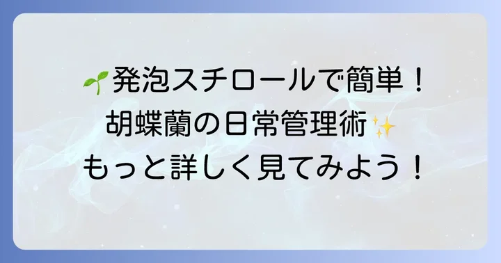 発泡スチロールを活用した胡蝶蘭の日常管理