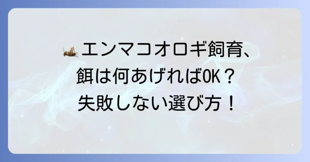エンマコオロギの食べ物は何?飼育で失敗しない餌の選び方と与え方
