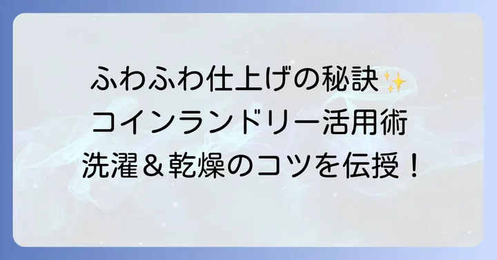 コインランドリーでの毛布の洗い方と乾燥のコツ