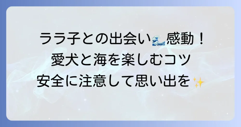 海辺の犬ララ子との出会いが織りなす感動！愛犬と海を楽しむコツと注意点