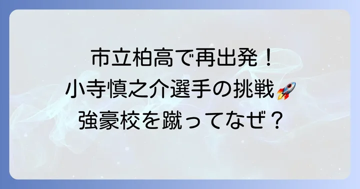 現在の進路：市立柏高校での新たな挑戦