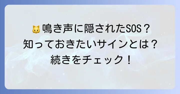鳴いている野良子猫のSOS！鳴き声からわかる気持ち