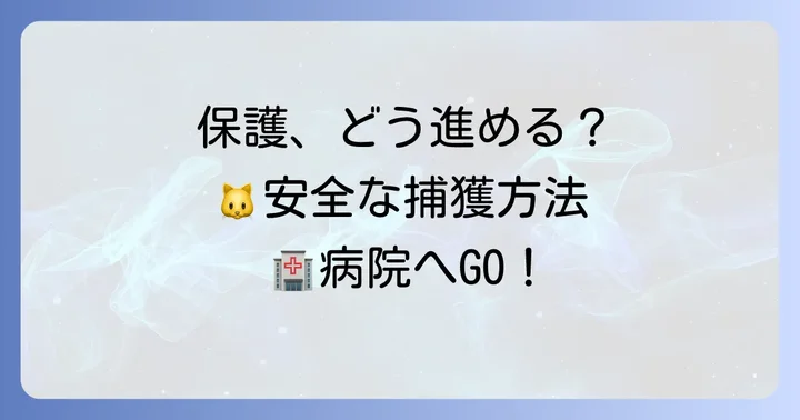 野良子猫を安全に保護するための進め方