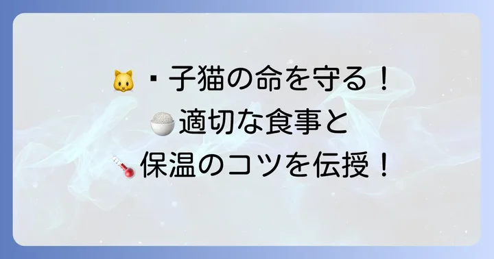 保護した子猫の命を守る！適切な食事と保温のコツ