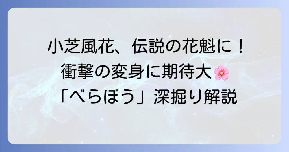 小芝風花が「べらぼう」で客をとる役柄の真実！伝説の花魁・瀬川に挑む演技を深掘り