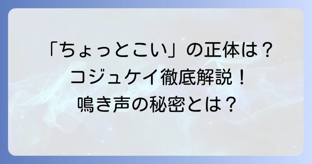 コジュケイの鳴き声「ちょっとこい」の正体と特徴を徹底解説