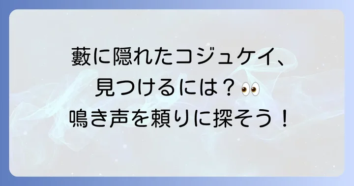 コジュケイの姿を見つけるコツ