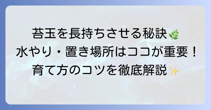 長く楽しむための育て方と飾り方のコツ
