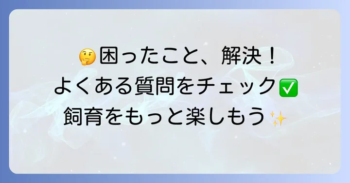 よくある質問