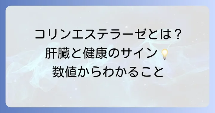 コリンエステラーゼとは？その役割と検査の目的