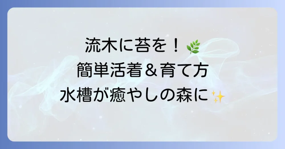 流木に苔を付ける方法と育て方：活着させるコツとおすすめの種類