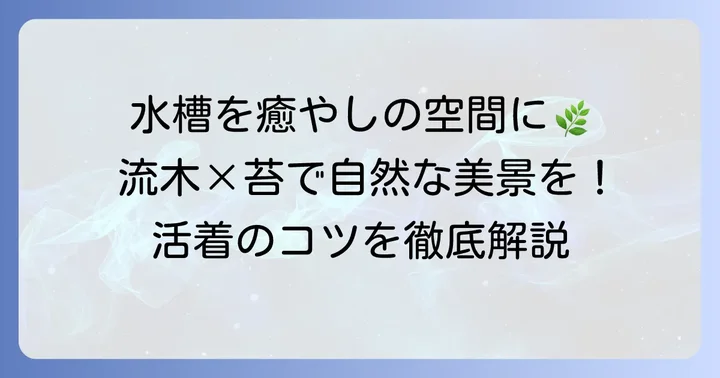 流木に苔を付ける魅力と準備