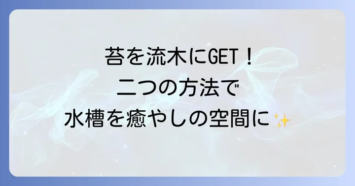流木への苔の付け方：二つの主要な方法