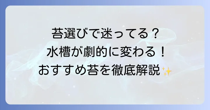 流木に活着させるのにおすすめの苔の種類