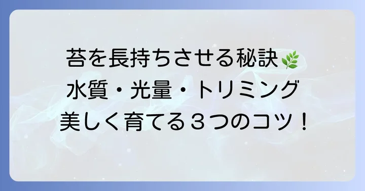 流木に付けた苔を美しく育てるための管理