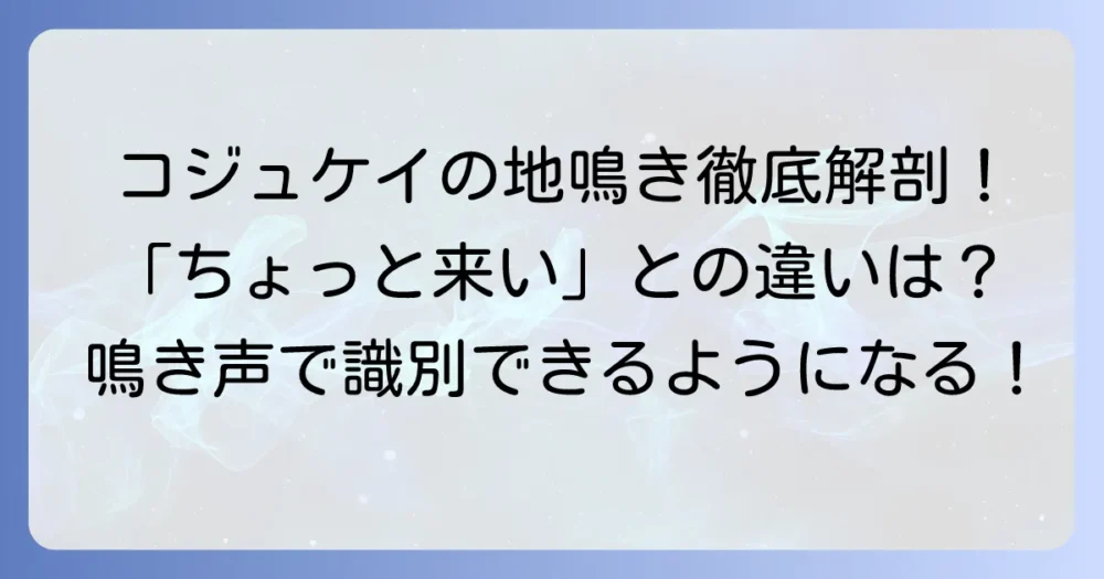 コジュケイの鳴き声「地鳴き」を徹底解説！その特徴や聞き分けのコツ