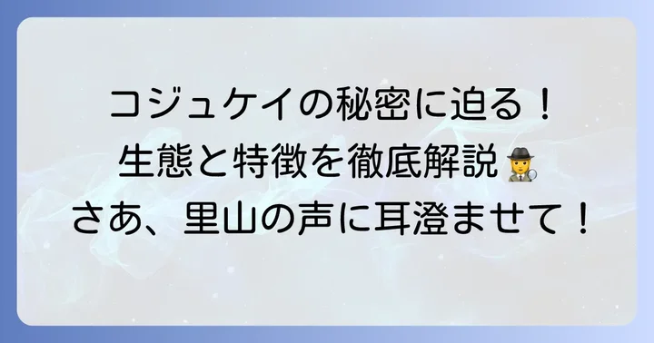 コジュケイの生態と特徴