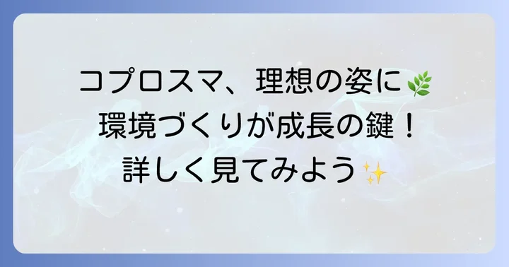 コプロスマを大きく育てるための環境づくり