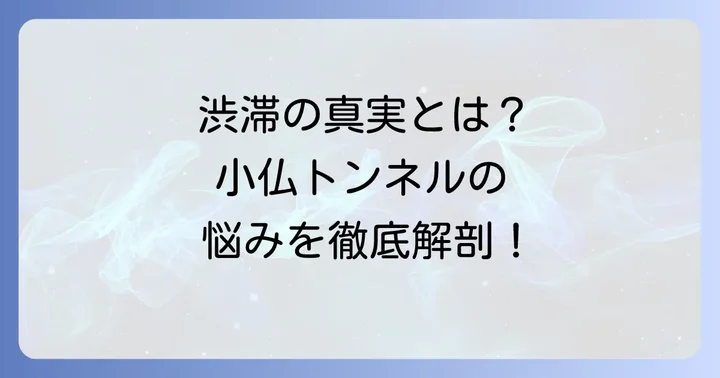 中央道小仏トンネルの慢性的な渋滞、その原因とは？