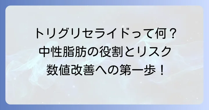 トリグリセライド（中性脂肪）とは？その役割と健康への影響