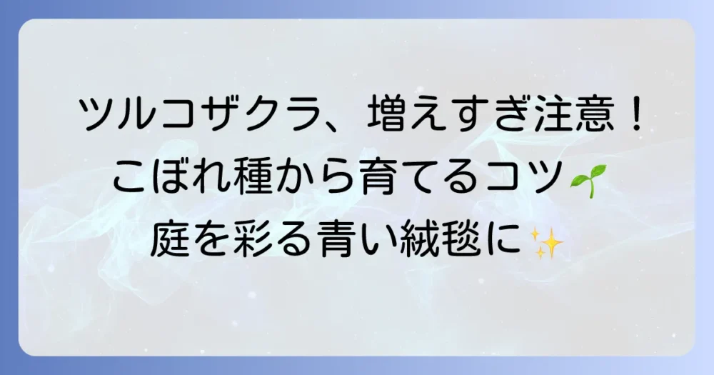 ツルコザクラのこぼれ種を活かす庭づくり！発芽から管理まで徹底解説