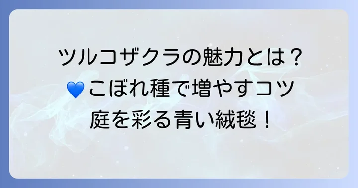 ツルコザクラの基本情報とこぼれ種の魅力