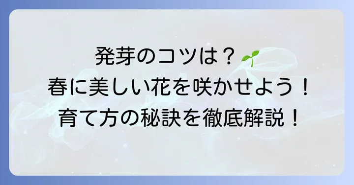 ツルコザクラのこぼれ種からの発芽と育て方