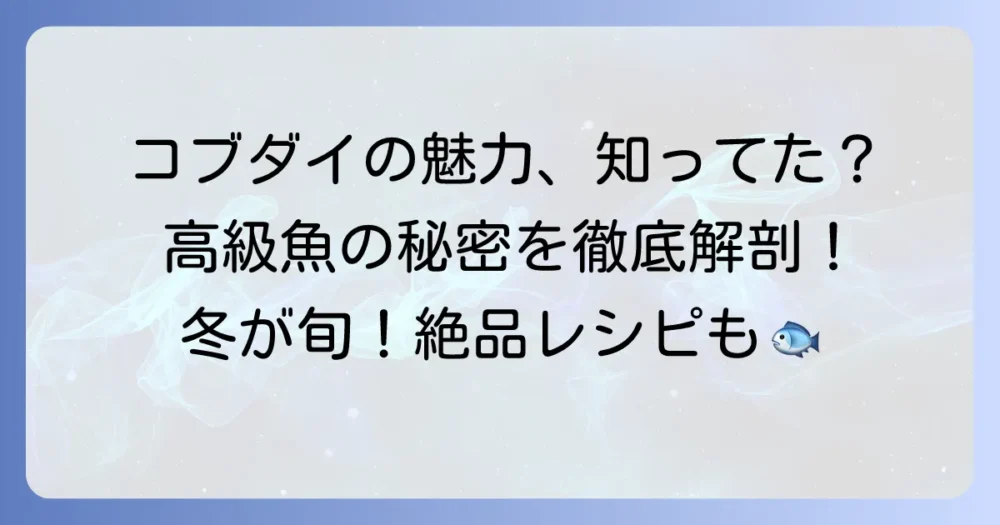 コブダイはなぜ高級魚なのか？ その魅力と絶品な食べ方を徹底解説
