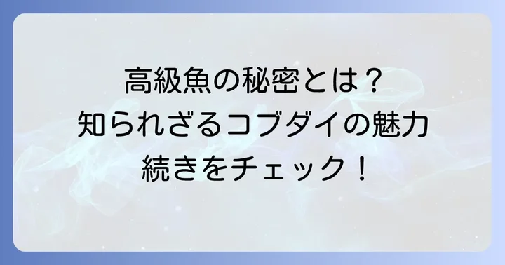 コブダイが高級魚として珍重される理由