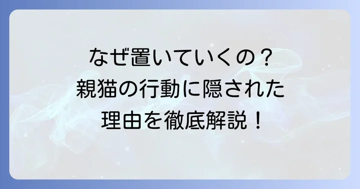 親猫が子猫を置いていくのはなぜ？考えられる理由