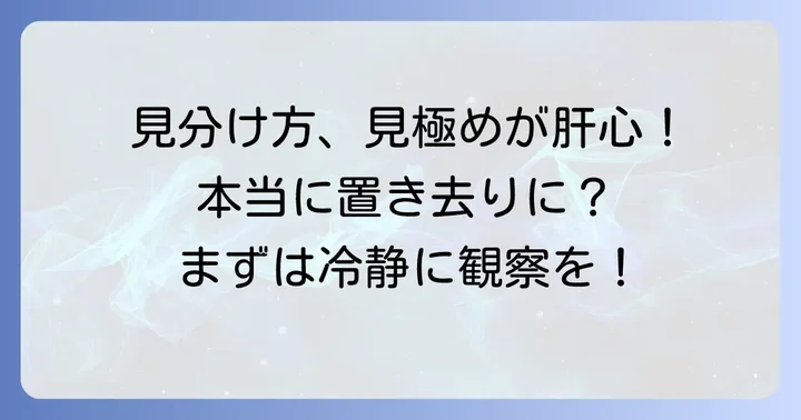 子猫が置き去りにされているかどうかの見分け方