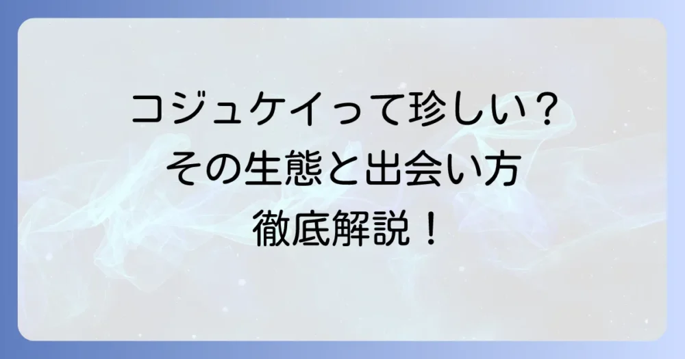 コジュケイは本当に珍しい鳥?その生態と出会う方法を徹底解説