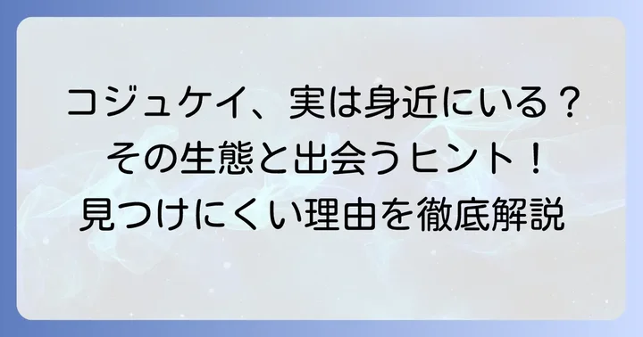 コジュケイは「珍しい」のではなく「見つけにくい」鳥
