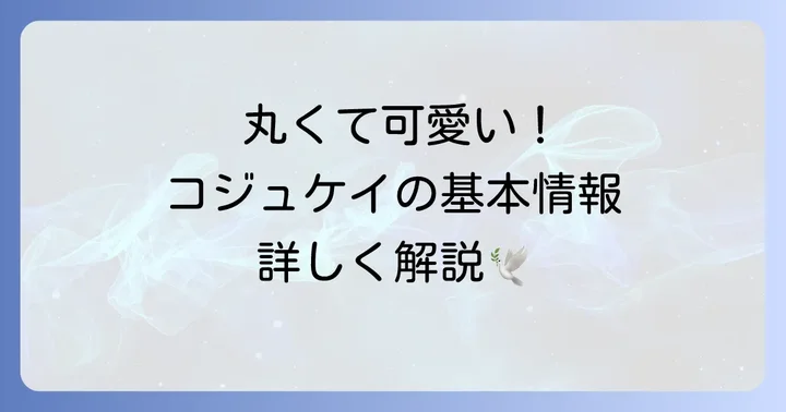 コジュケイの基本情報と特徴