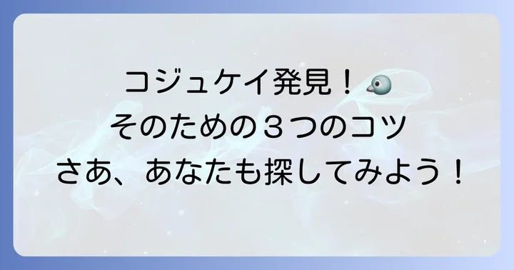 コジュケイに出会うためのコツ