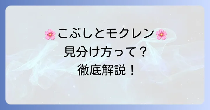 こぶしの花とモクレンの花、それぞれの基本を知ろう