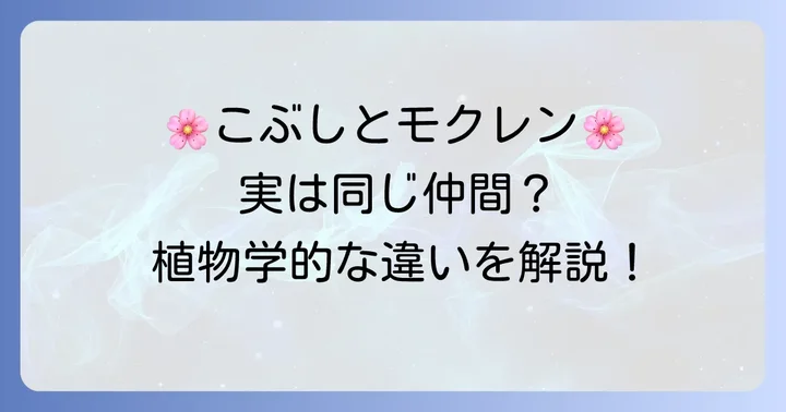 こぶしとモクレンは同じ仲間?植物学的な分類
