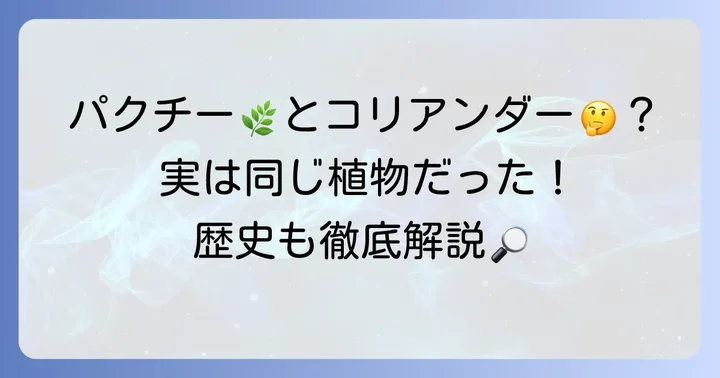 コリアンダーとは？パクチーとの違いや歴史