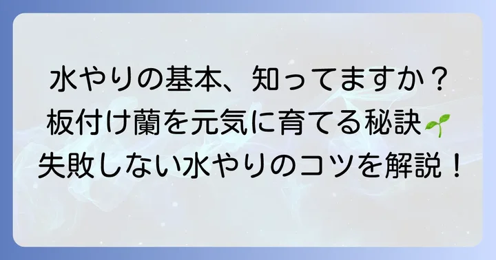 板付け胡蝶蘭の水やりが成功するための基本