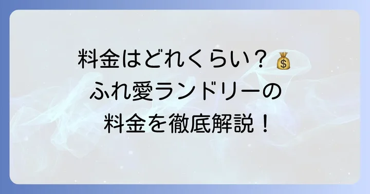 ふれ愛ランドリーの料金体系を詳しく知る