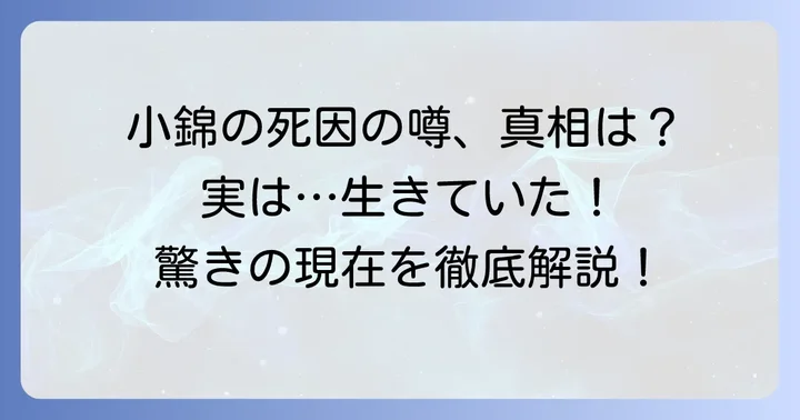 小錦の死因に関する噂の真相