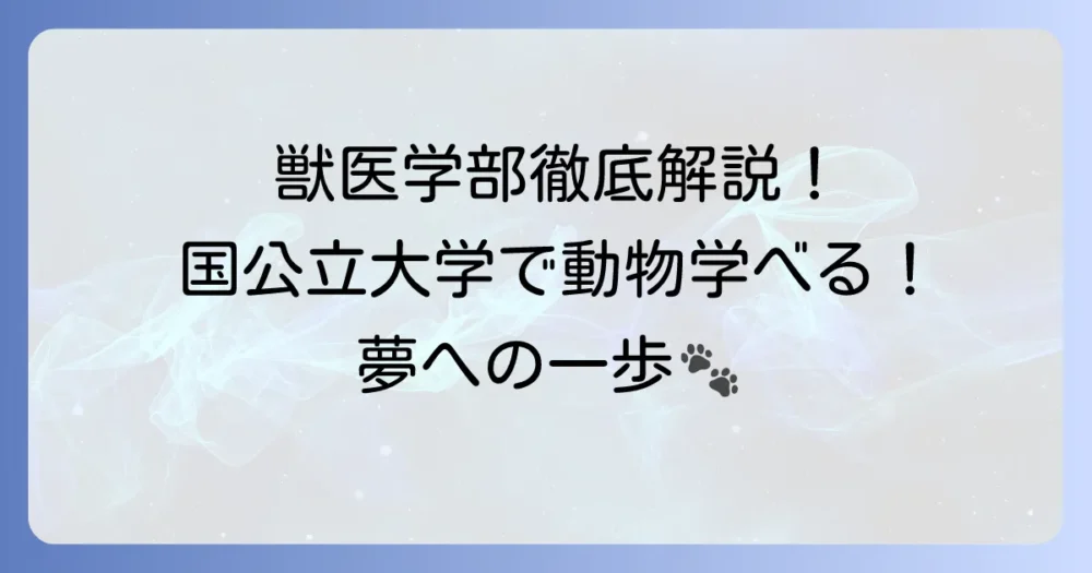 動物について学べる国公立大学を徹底解説！獣医学から生態学まで網羅