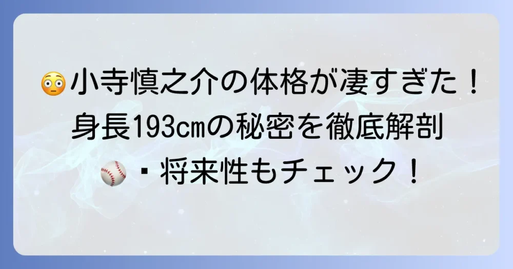 小寺慎之介の「でかい」体格の秘密を徹底解説!身長や体重、投球への影響と将来性