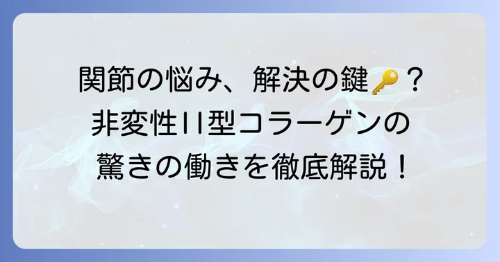 非変性II型コラーゲンとは？その特徴と関節への働き