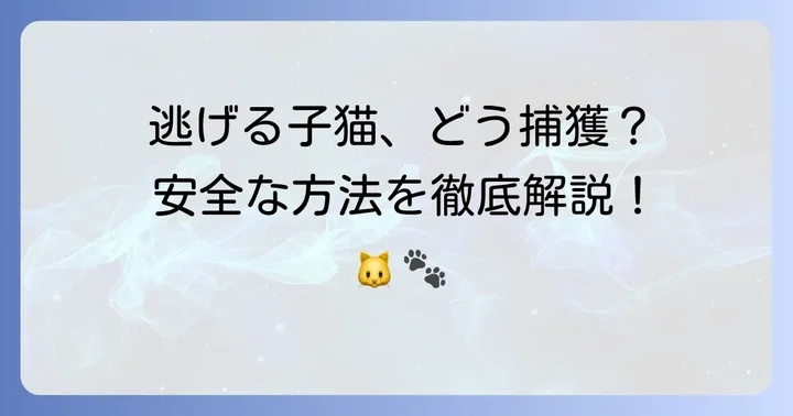 警戒心の強い子猫を安全に捕まえる具体的な方法