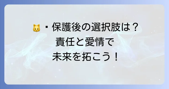 保護した子猫のその後：選択肢と責任