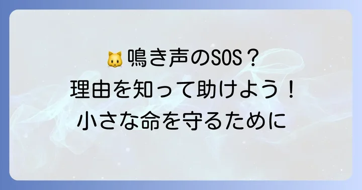 野良猫の子猫がずっと鳴いているのはなぜ？考えられる理由